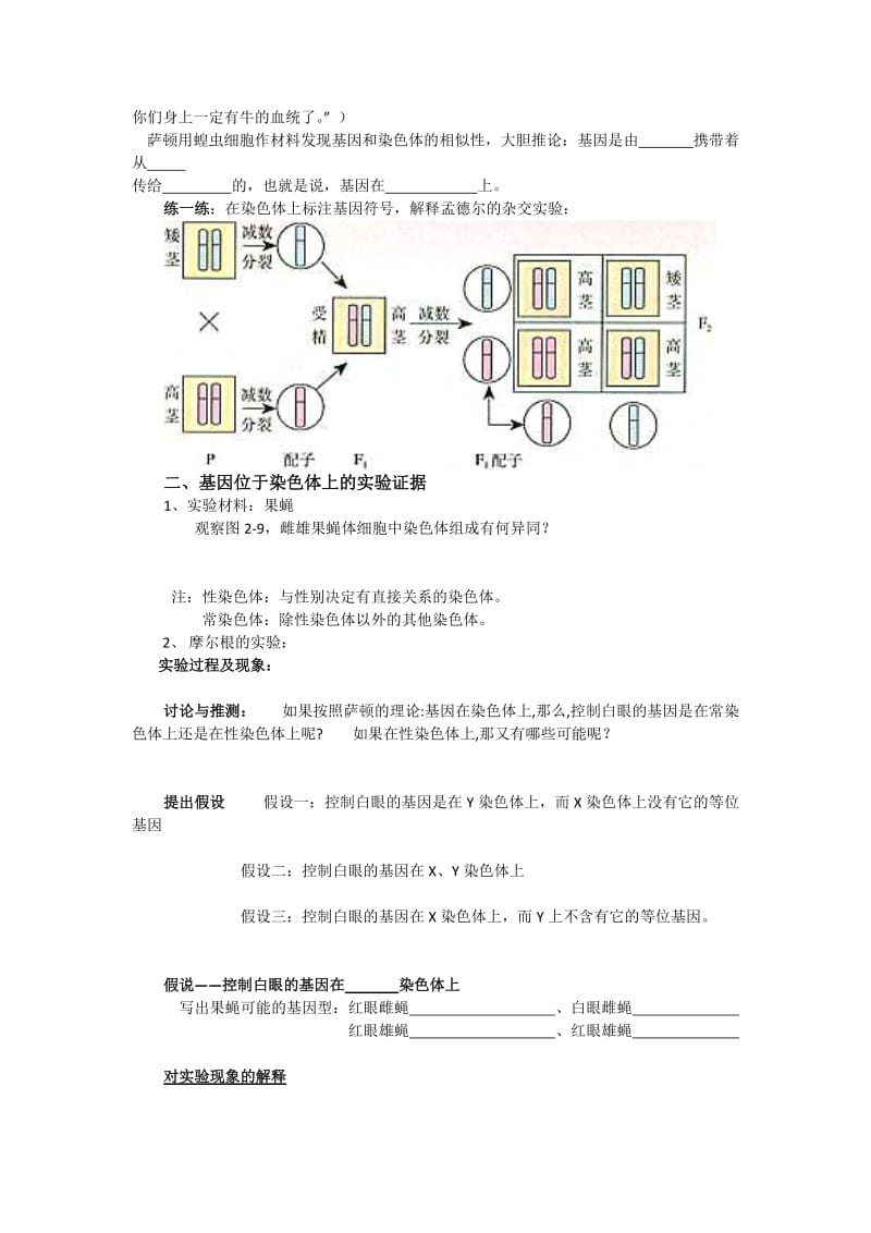 2019-2020年《基因在染色体上学案》WORD教案之二.doc_第2页