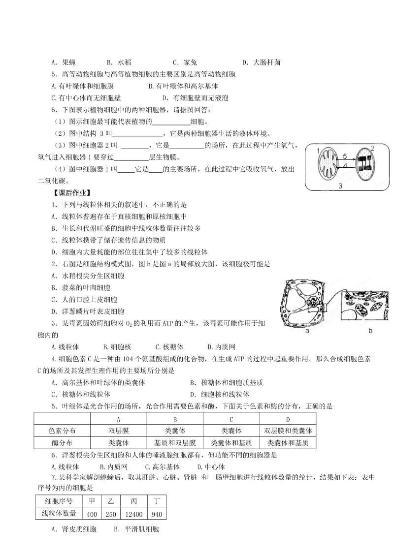 2019-2020年高一生物《3．2细胞的类型和结构》学案第2课时 苏教版.doc_第2页