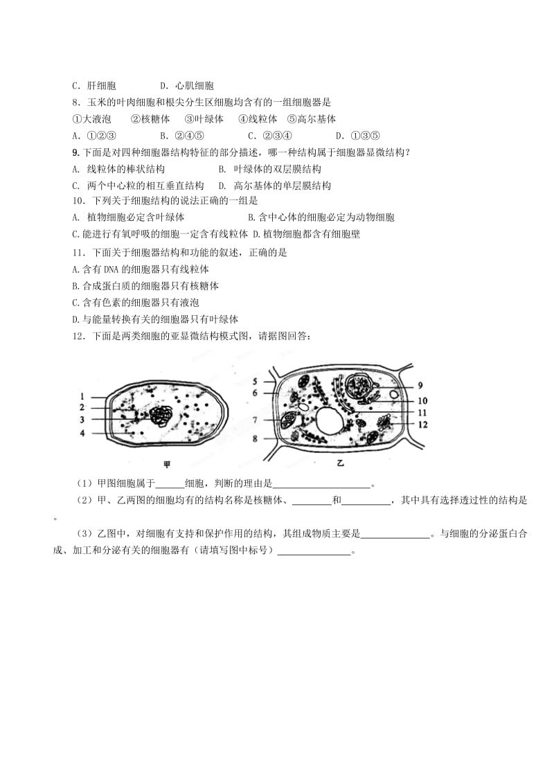 2019-2020年高一生物《3．2细胞的类型和结构》学案第2课时 苏教版.doc_第3页