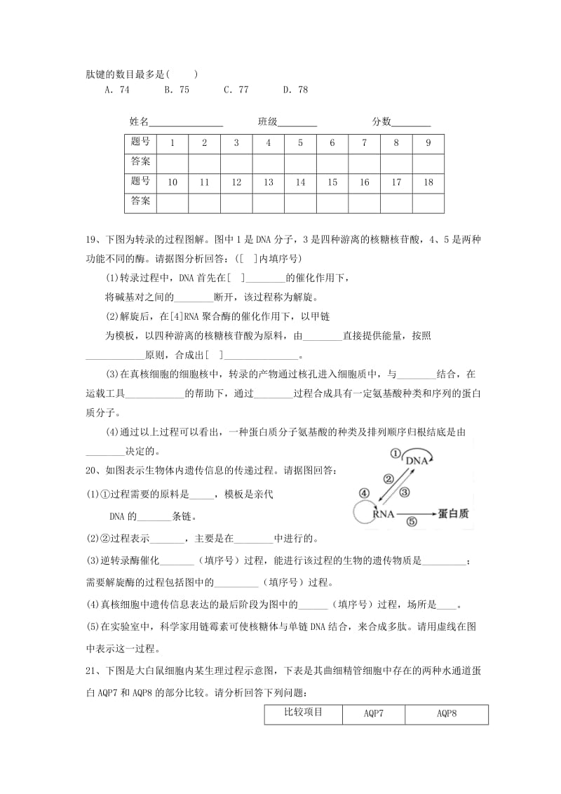 2019-2020年高一生物《第四章 基因的表达检测案》导学案 新人教版.doc_第3页