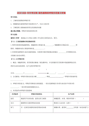 2019-2020年中考生物 綠色植物的呼吸作用復(fù)習(xí)學(xué)案.doc