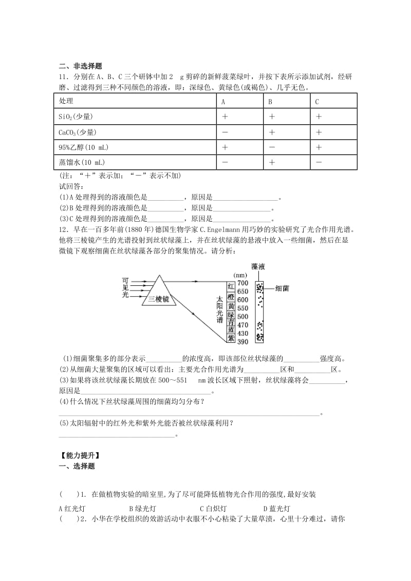 2019-2020年高一生物《54 能量之源-光和光合作用》学案 新人教版.doc_第3页