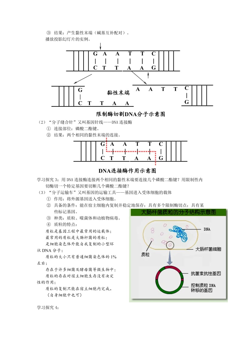 2019-2020年人教版高中生物选修3《现代生物科技专题一基因工程》教学设计.doc_第3页