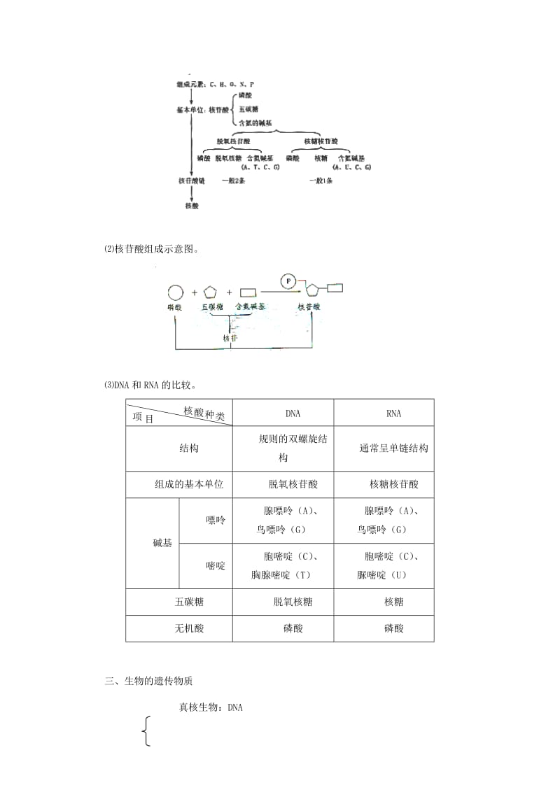 2019-2020年高一生物（新人教版必修1）教案：2-3《遗传信息的携带者核酸》.doc_第3页