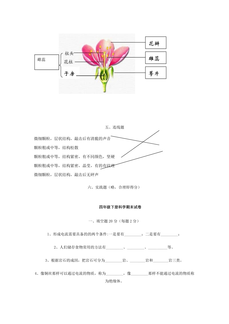 2019年四年级科学下册期末综合练习卷（无答案） 教科版.doc_第2页