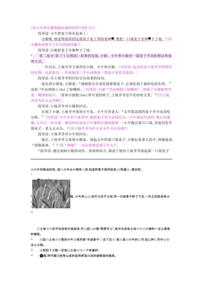 2019三年级语文上册 9三袋麦子教案 苏教版.doc_第2页