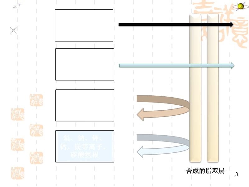 物质跨膜运输的方式ppt课件_第3页