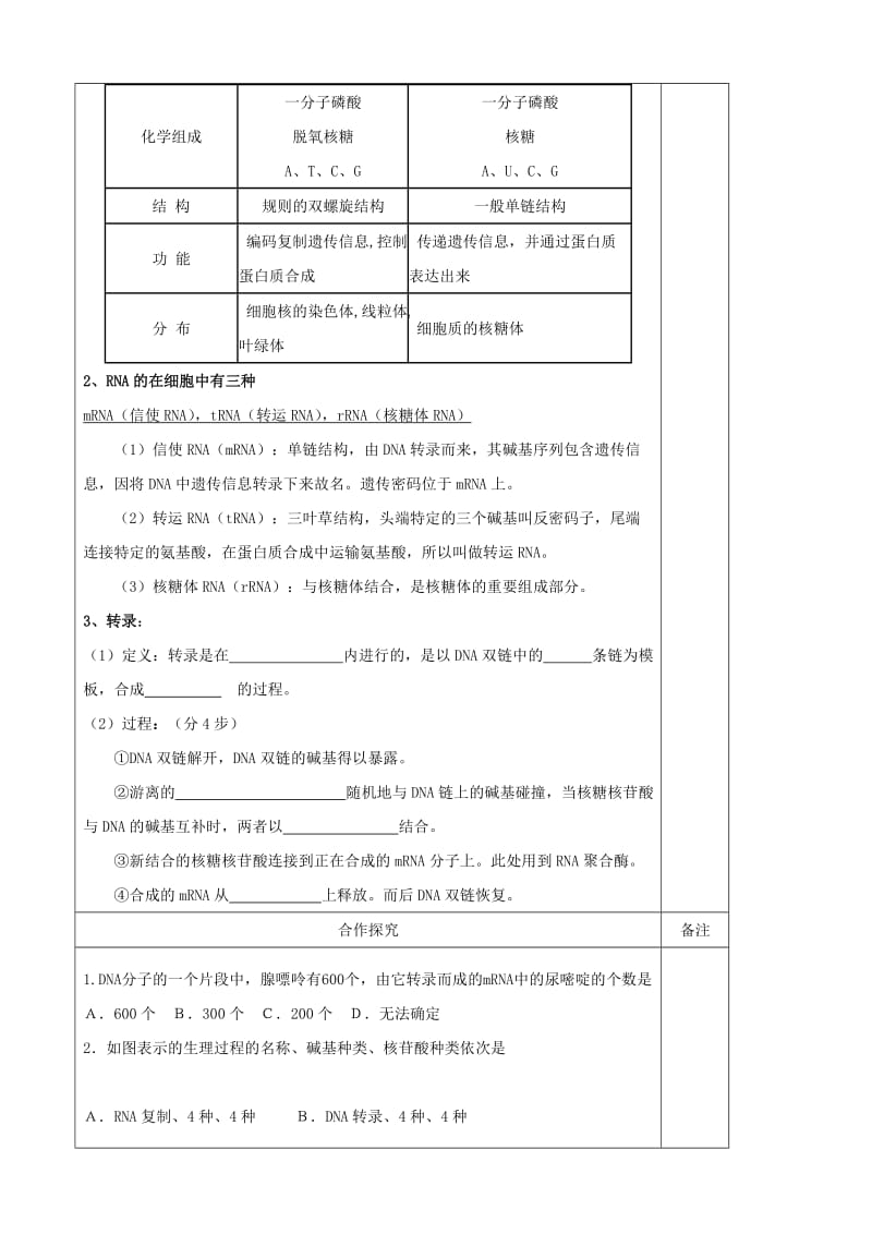 2019-2020年高一生物《基因控制蛋白质的合成（一）》学案 人教版.doc_第2页