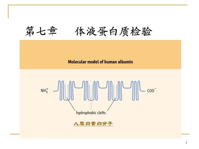 体液蛋白质检验ppt课件_第1页