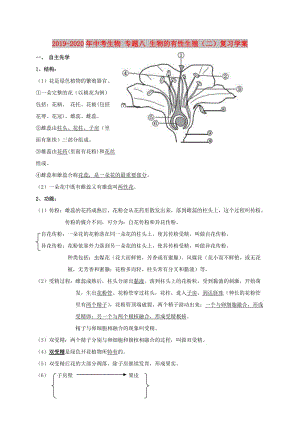 2019-2020年中考生物 專題八 生物的有性生殖（二）復(fù)習(xí)學(xué)案.doc