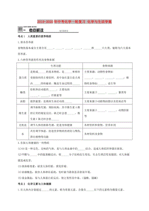 2019-2020年中考化學(xué)一輪復(fù)習(xí) 化學(xué)與生活學(xué)案.doc