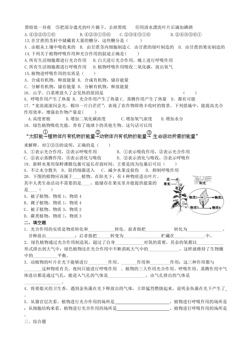 2019-2020年中考生物 考点十 植物的光合作用与呼吸作用及碳－氧平衡复习教学案.doc_第3页