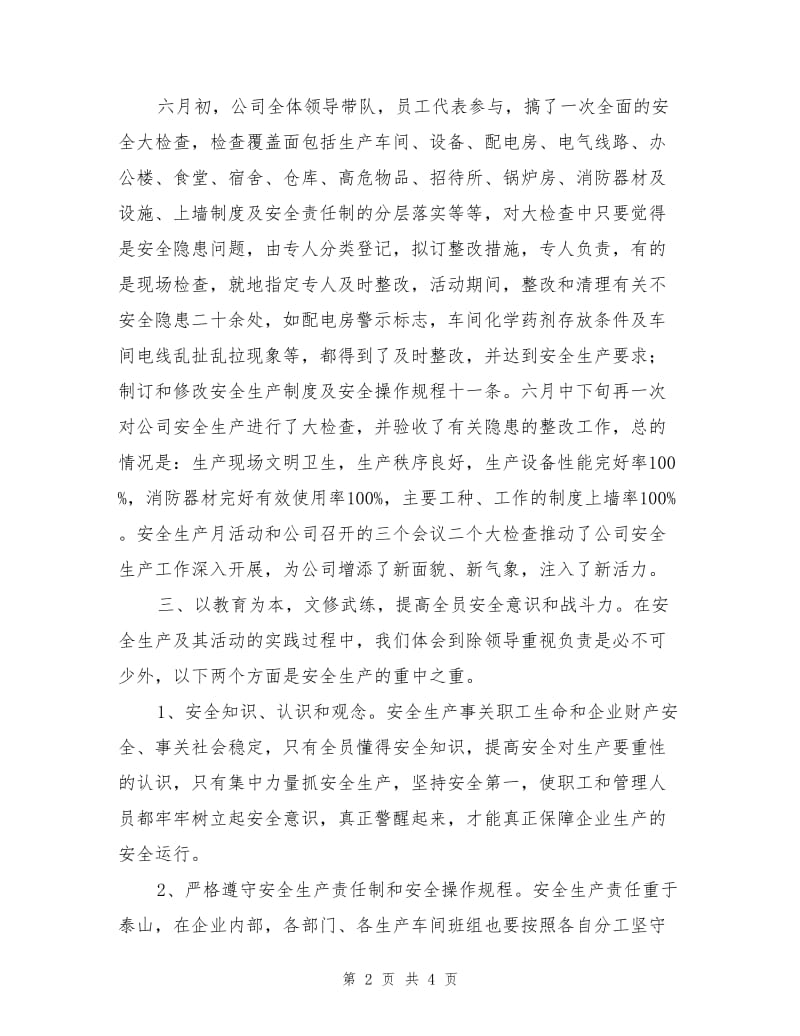 企业安全生产工作总结.doc_第2页