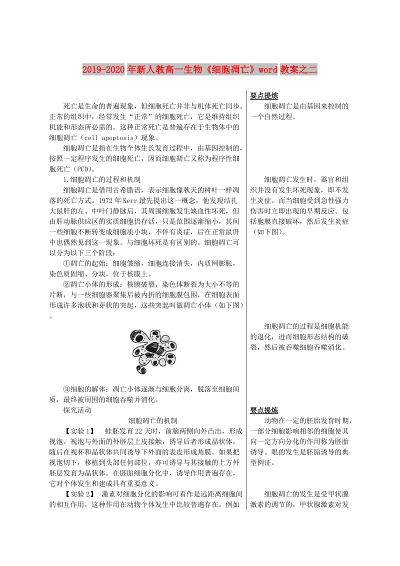 2019-2020年新人教高一生物《细胞凋亡》word教案之二.doc_第1页