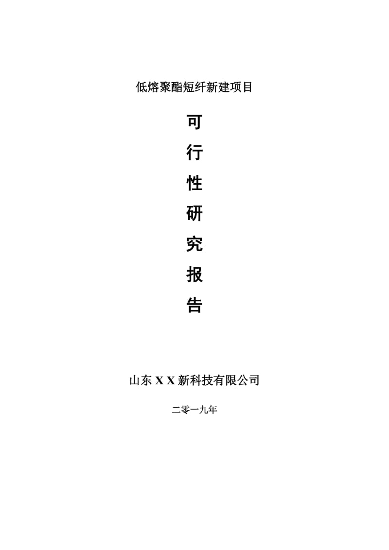 低熔聚酯短纤新建项目可行性研究报告-可修改备案申请_第1页