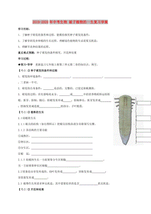 2019-2020年中考生物 被子植物的一生復(fù)習(xí)學(xué)案.doc