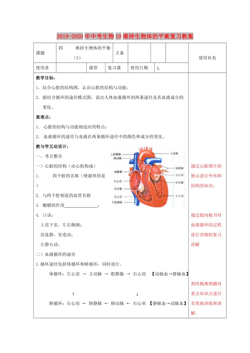 2019-2020年中考生物10维持生物体的平衡复习教案.doc_第1页