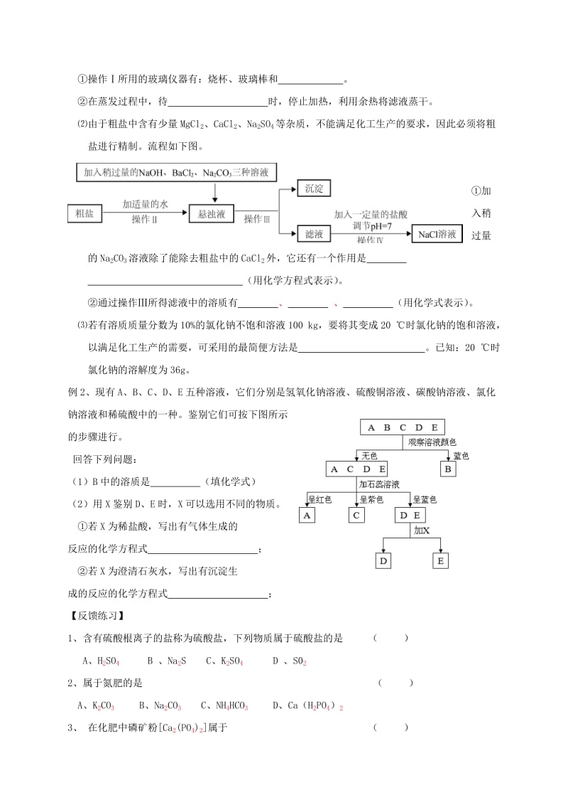 2019-2020年中考化学一轮复习粗盐提纯化学肥料导学案.doc_第2页