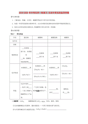 2019-2020年中考化學(xué)一輪復(fù)習(xí) 生活中常見(jiàn)的鹽導(dǎo)學(xué)案.doc