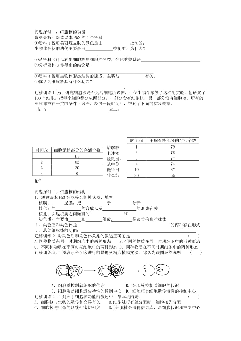 2019-2020年高一生物 33《 细胞核—系统的控制中心》学案.doc_第2页