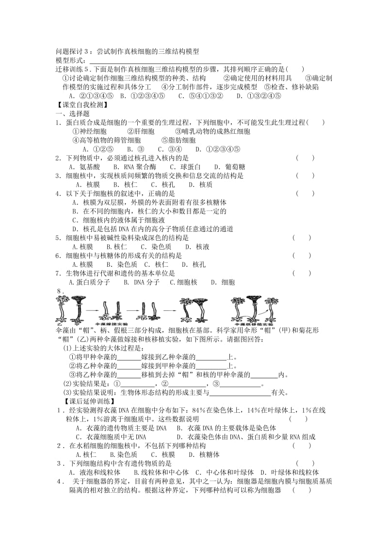 2019-2020年高一生物 33《 细胞核—系统的控制中心》学案.doc_第3页