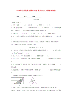 2019年小升初數(shù)學(xué)模擬試題 數(shù)的認(rèn)識(shí) 人教新課標(biāo)版.doc