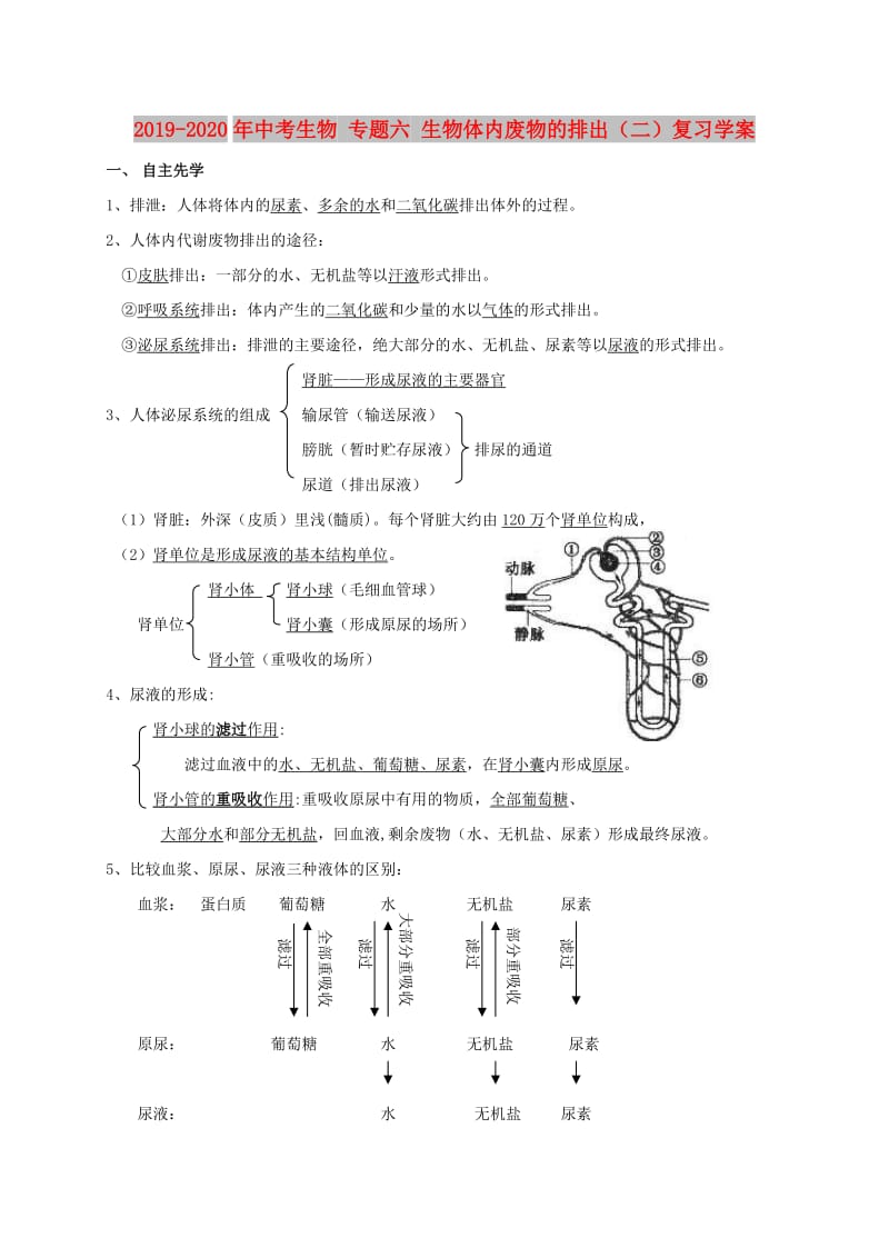 2019-2020年中考生物 专题六 生物体内废物的排出（二）复习学案.doc_第1页