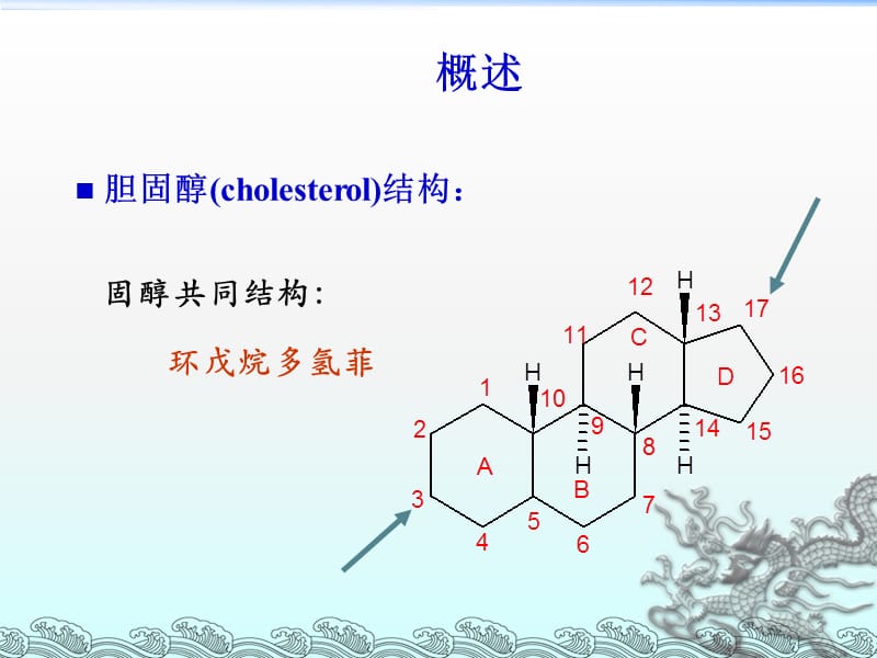 胆固醇代谢ppt课件_第3页