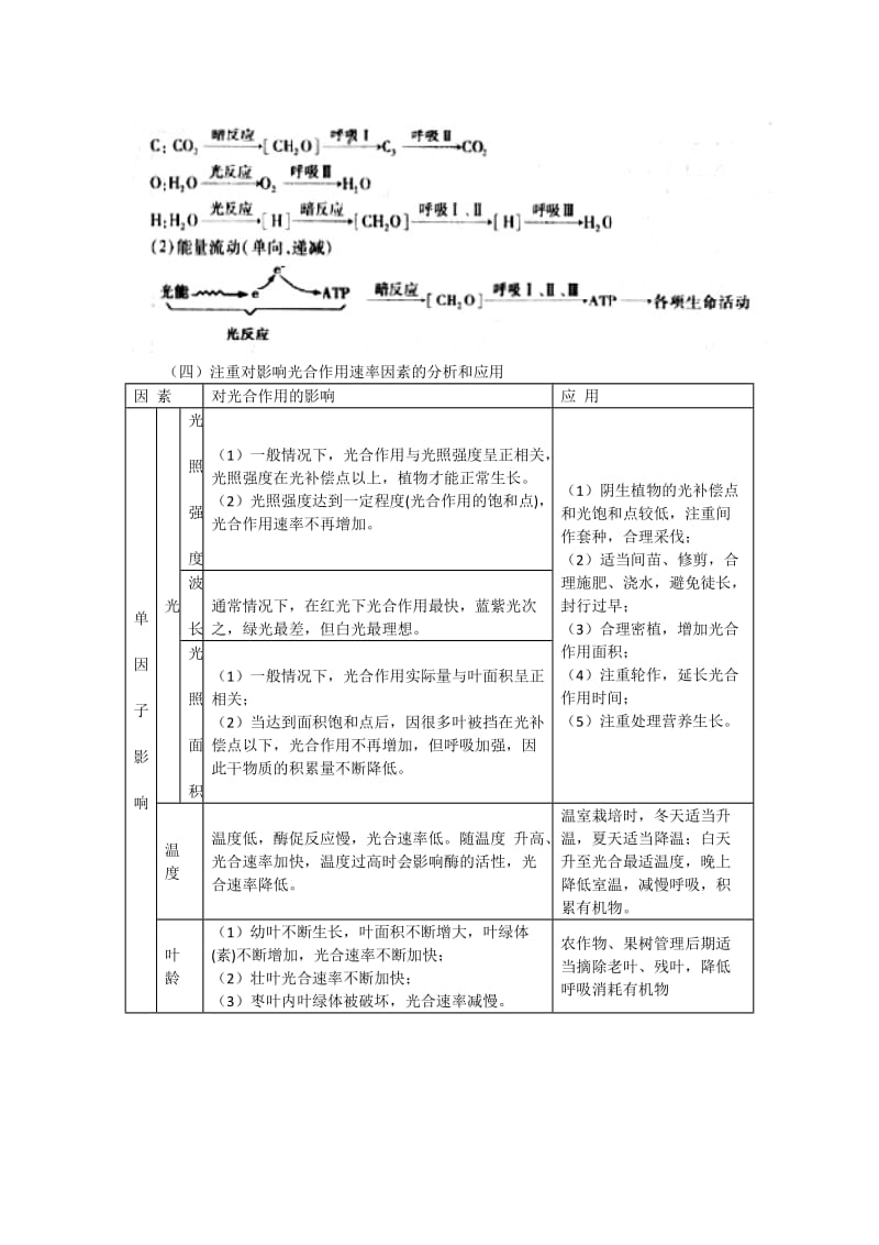 2019-2020年《高考生物代谢、微生物与发酵工程》word教案.doc_第3页