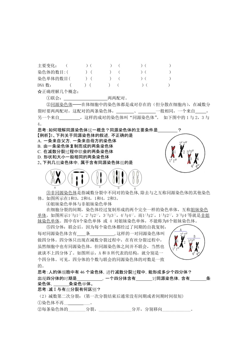 2019-2020年《减数分裂和受精作用》WORD教案之三.doc_第2页