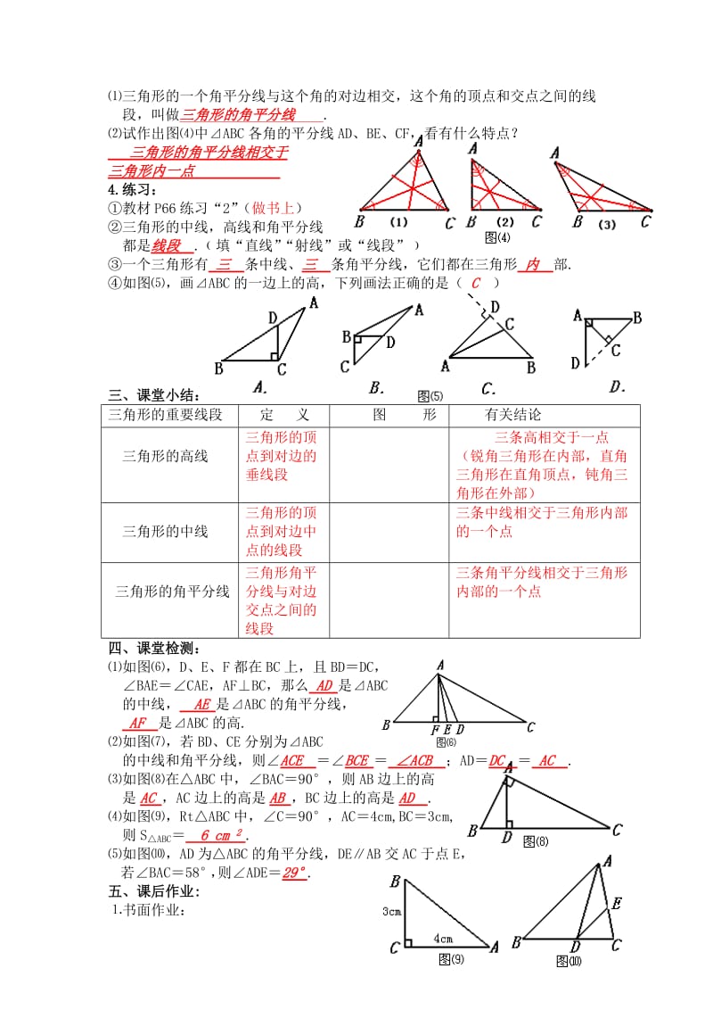 2019-2020年新人教版七年下《7.1与三角形有关的线段-三角形的高、中线与角平分线》word教案.doc_第2页