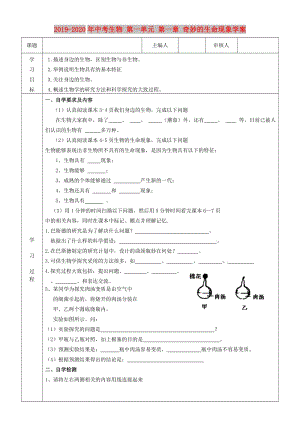 2019-2020年中考生物 第一單元 第一章 奇妙的生命現(xiàn)象學(xué)案.doc