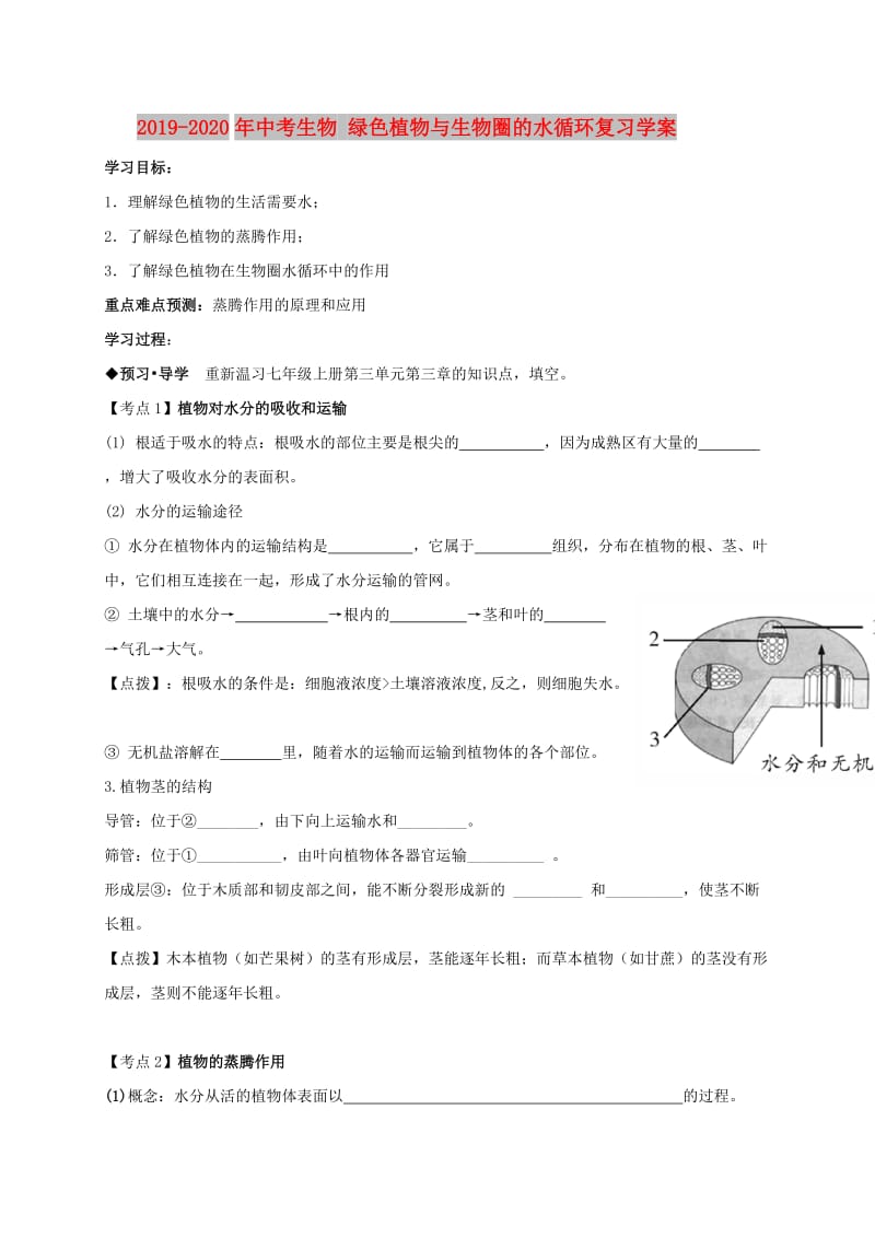 2019-2020年中考生物 绿色植物与生物圈的水循环复习学案.doc_第1页