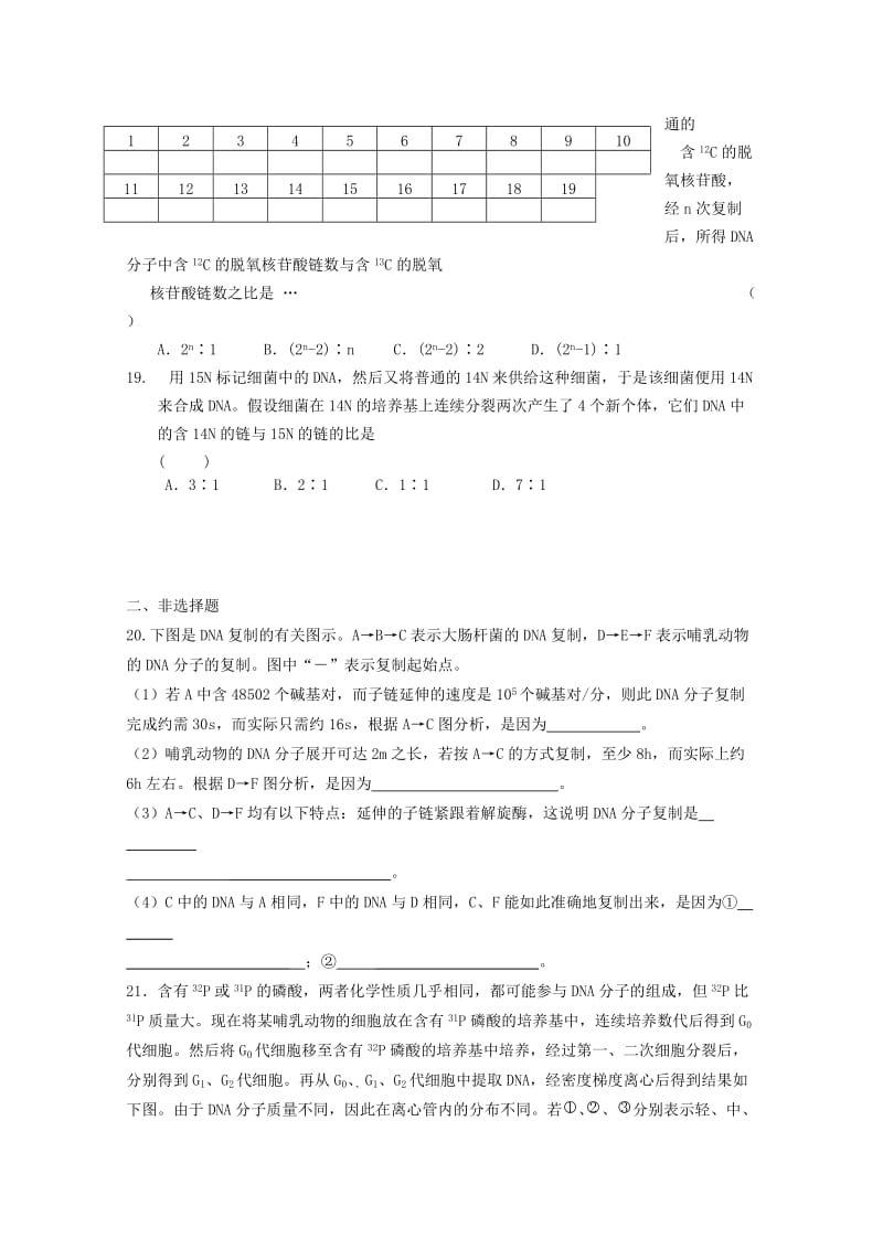 2019-2020年高一生物 3.3《DNA的复制作业》（实验班）.doc_第3页