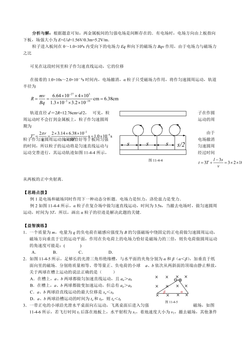 2019-2020年高三物理专题四带电粒子在磁场中运动.doc_第2页