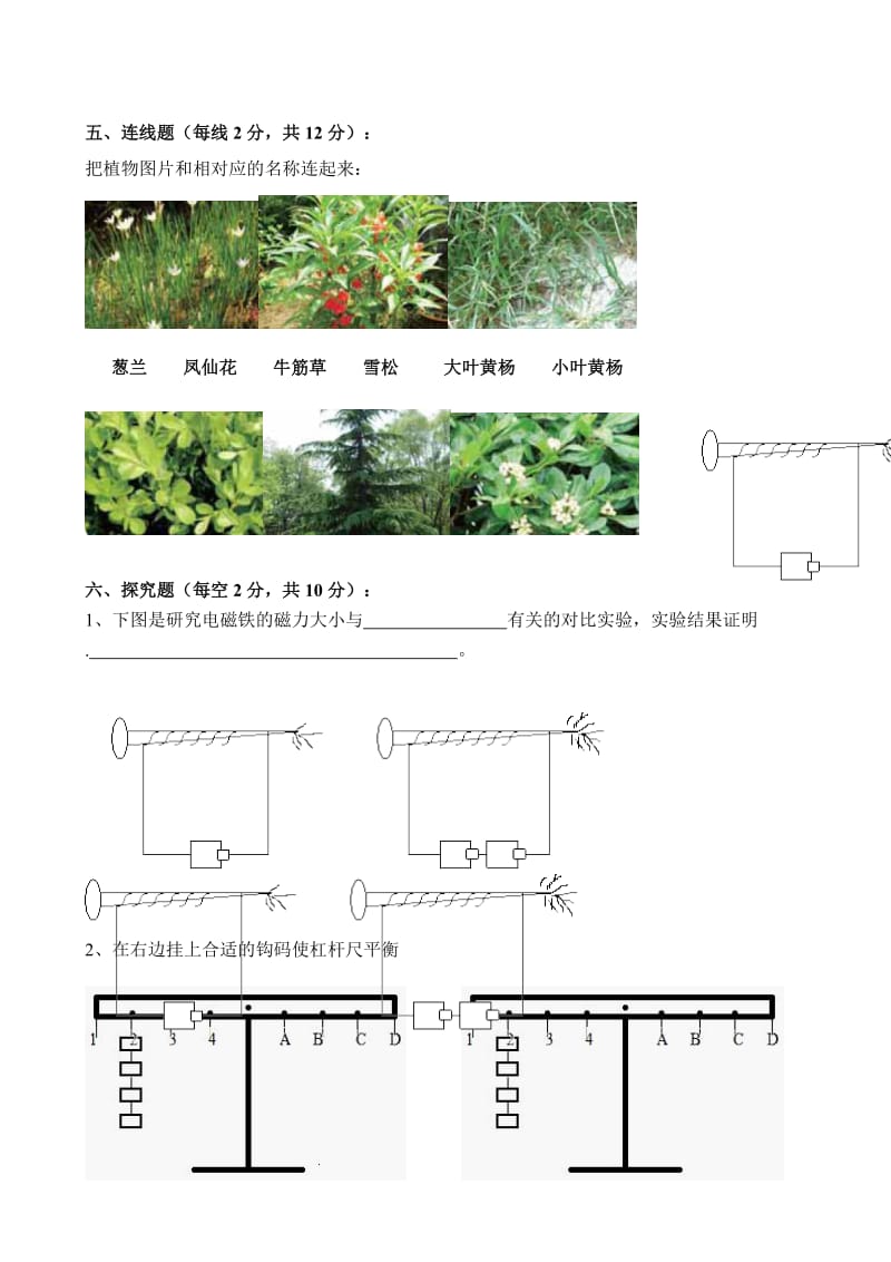 2019年教科版六年级科学期末试卷.doc_第3页