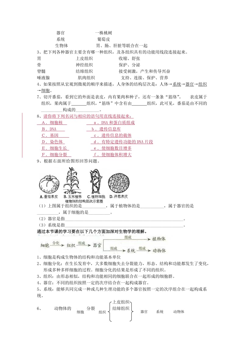 2019-2020年中考生物 考点五 生物体的结构层次复习教学案.doc_第3页