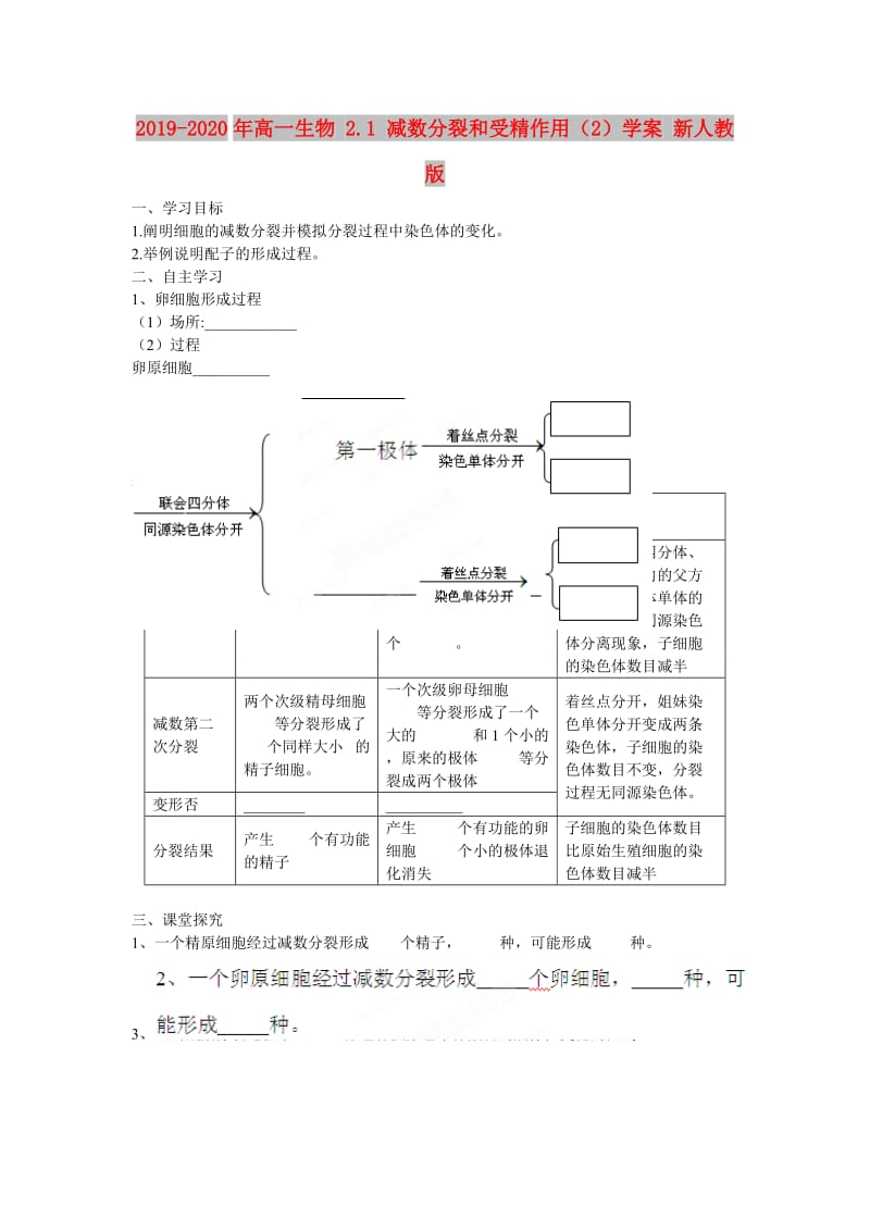 2019-2020年高一生物 2.1 减数分裂和受精作用（2）学案 新人教版.doc_第1页