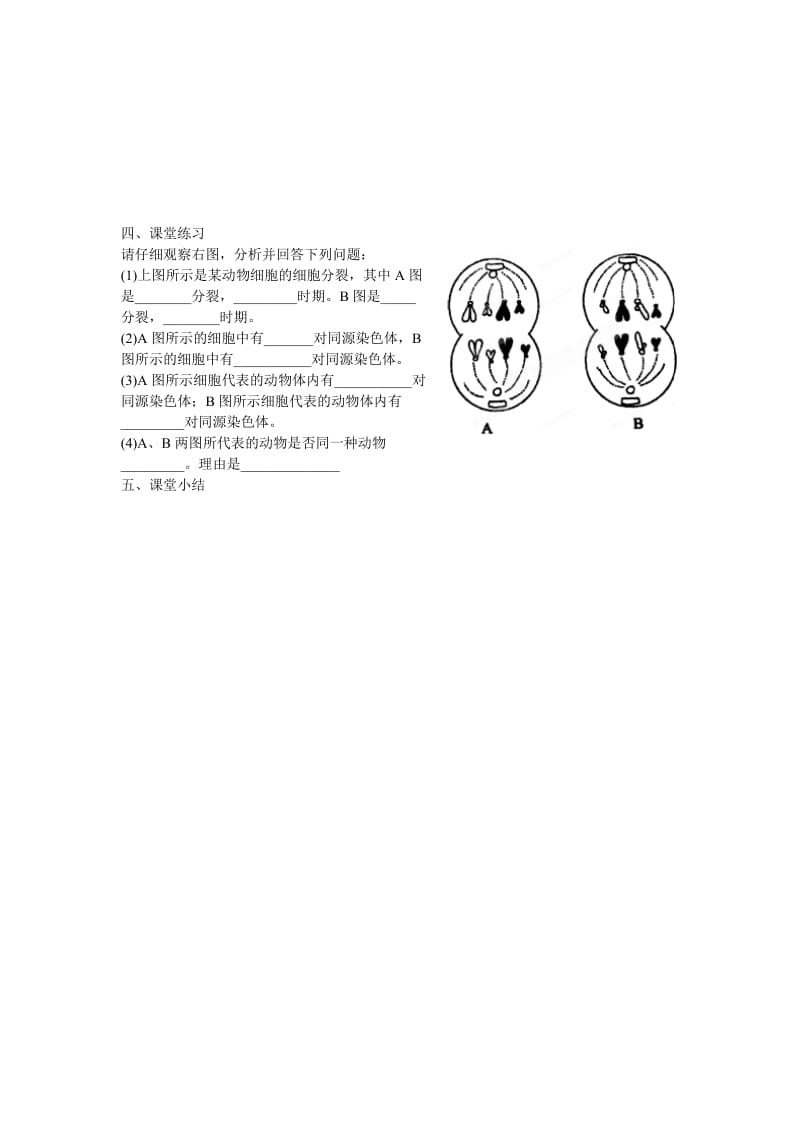 2019-2020年高一生物 2.1 减数分裂和受精作用（2）学案 新人教版.doc_第2页