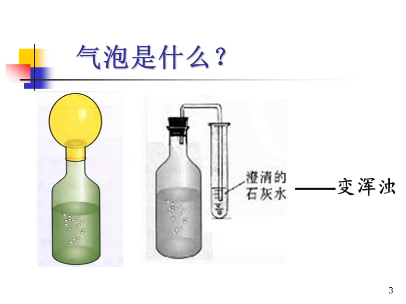 人类对细菌真菌的利用ppt课件_第3页