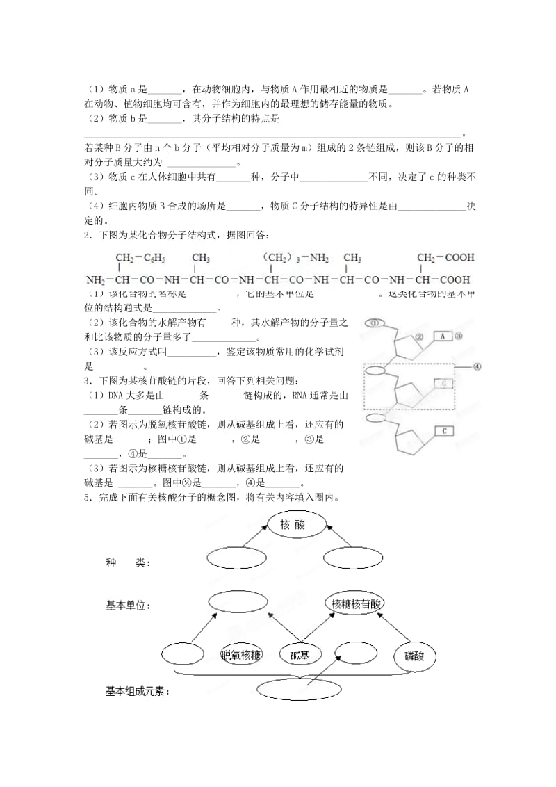 2019-2020年高一生物 第二章 细胞的分子组成学案 新人教版.doc_第2页