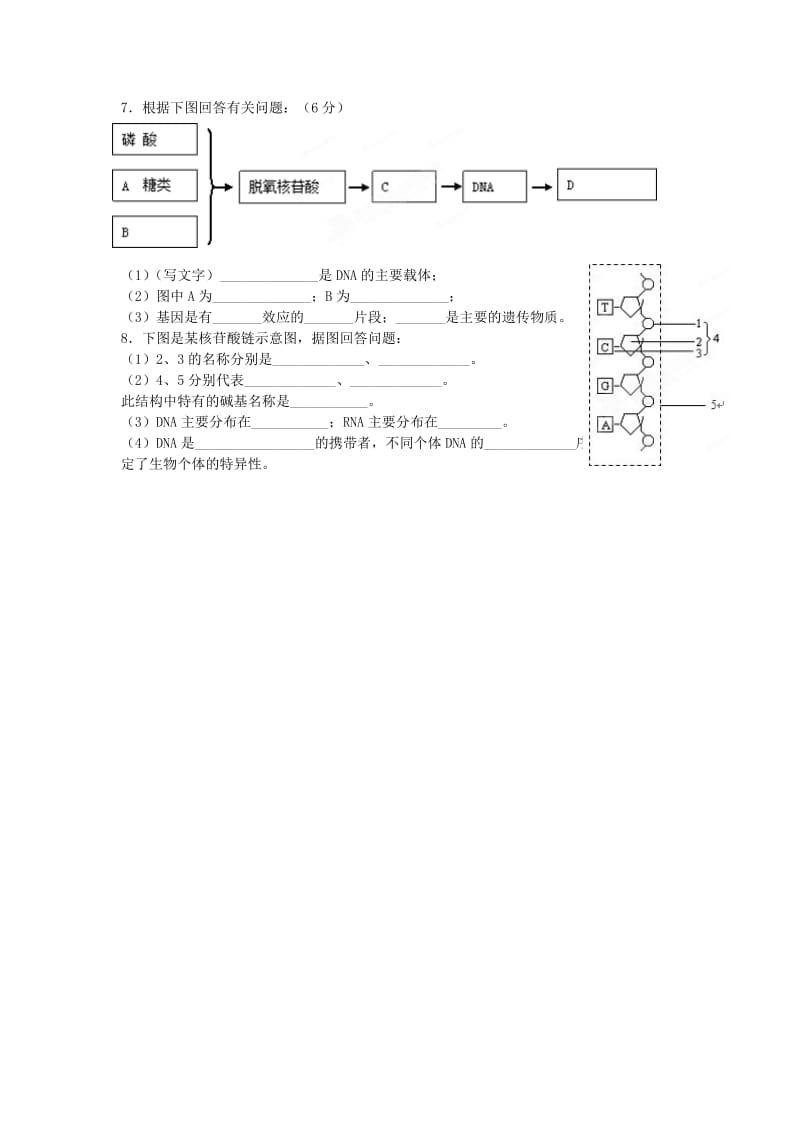 2019-2020年高一生物 第二章 细胞的分子组成学案 新人教版.doc_第3页