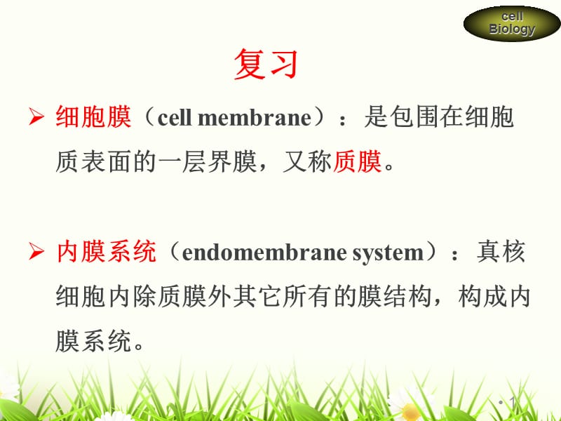 细胞的内膜系统和囊泡运输ppt课件_第1页