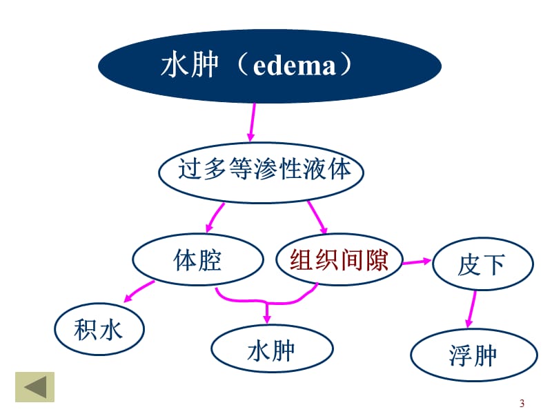 动物病理学水肿和脱水ppt课件_第3页