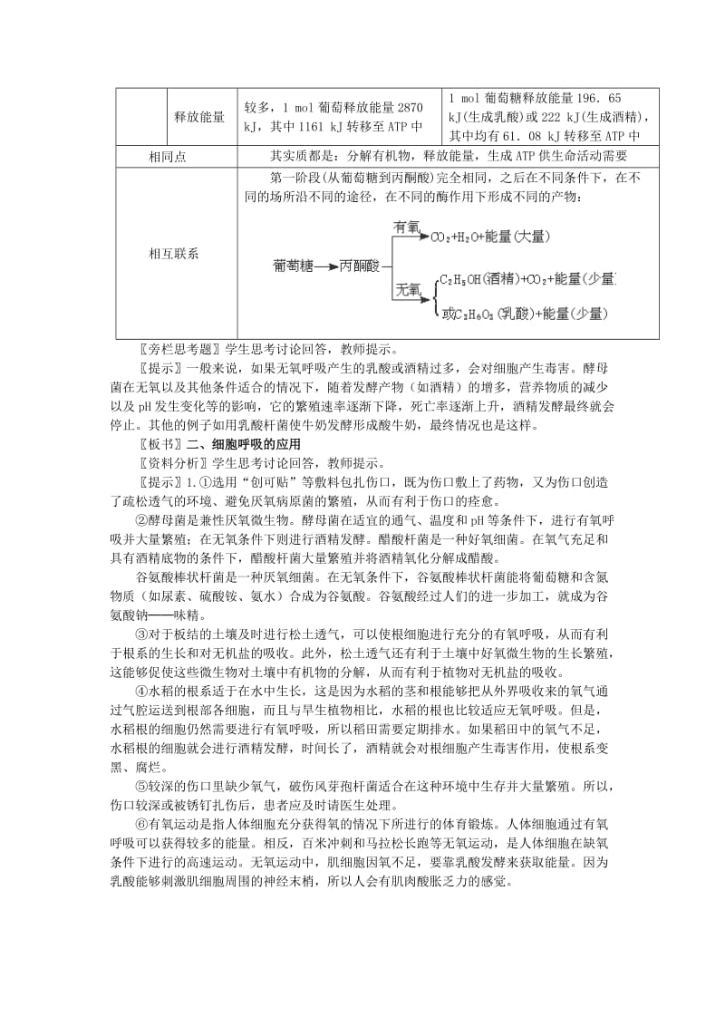 2019-2020年高一生物新人教版必修1教案：第5章《ATP的主要来》.doc_第3页