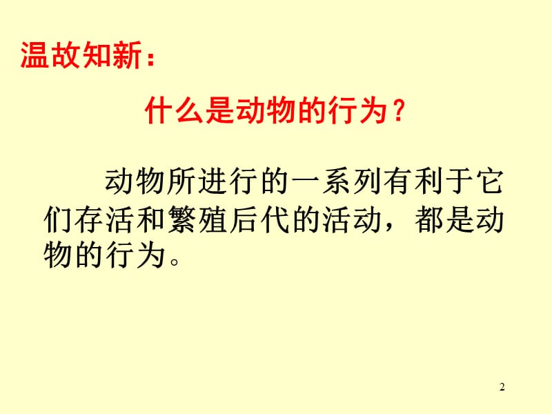 动物先天性行为ppt课件_第2页