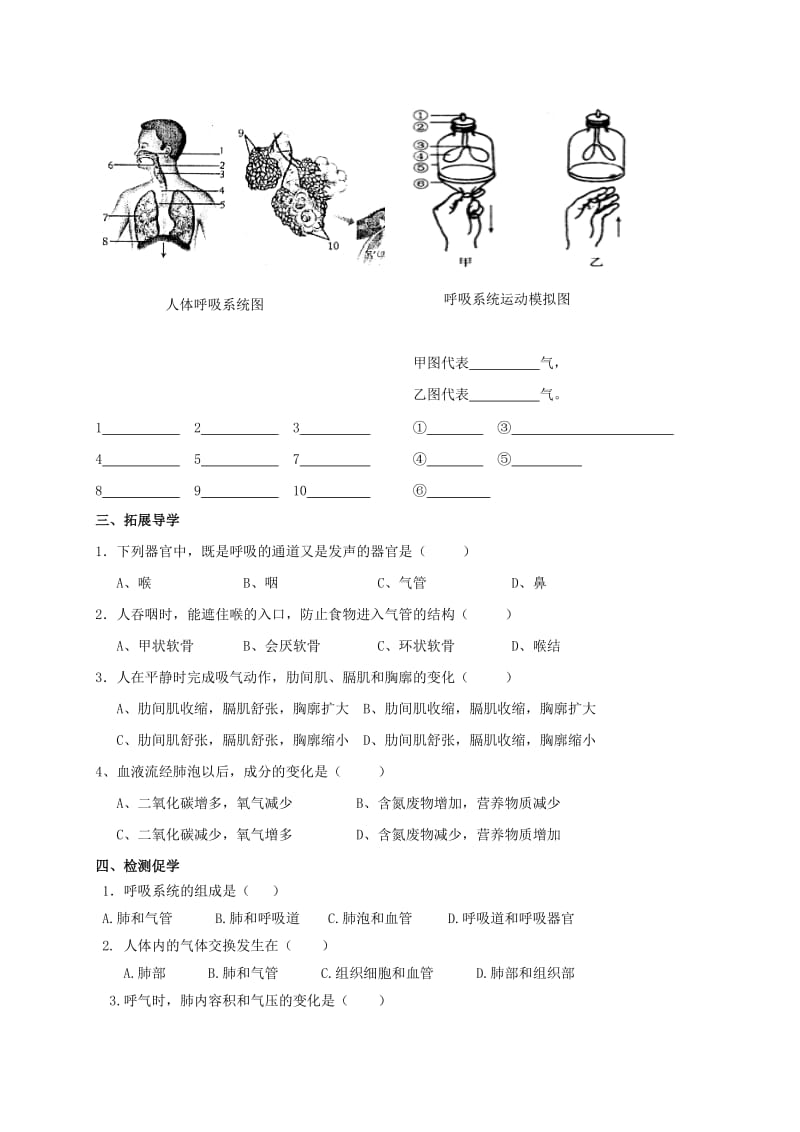 2019-2020年中考生物专题六生物体内废物的排出一复习学案.doc_第2页