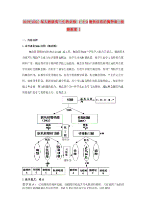 2019-2020年人教版高中生物必修1 2-3遺傳信息的攜帶者-核酸教案2.doc