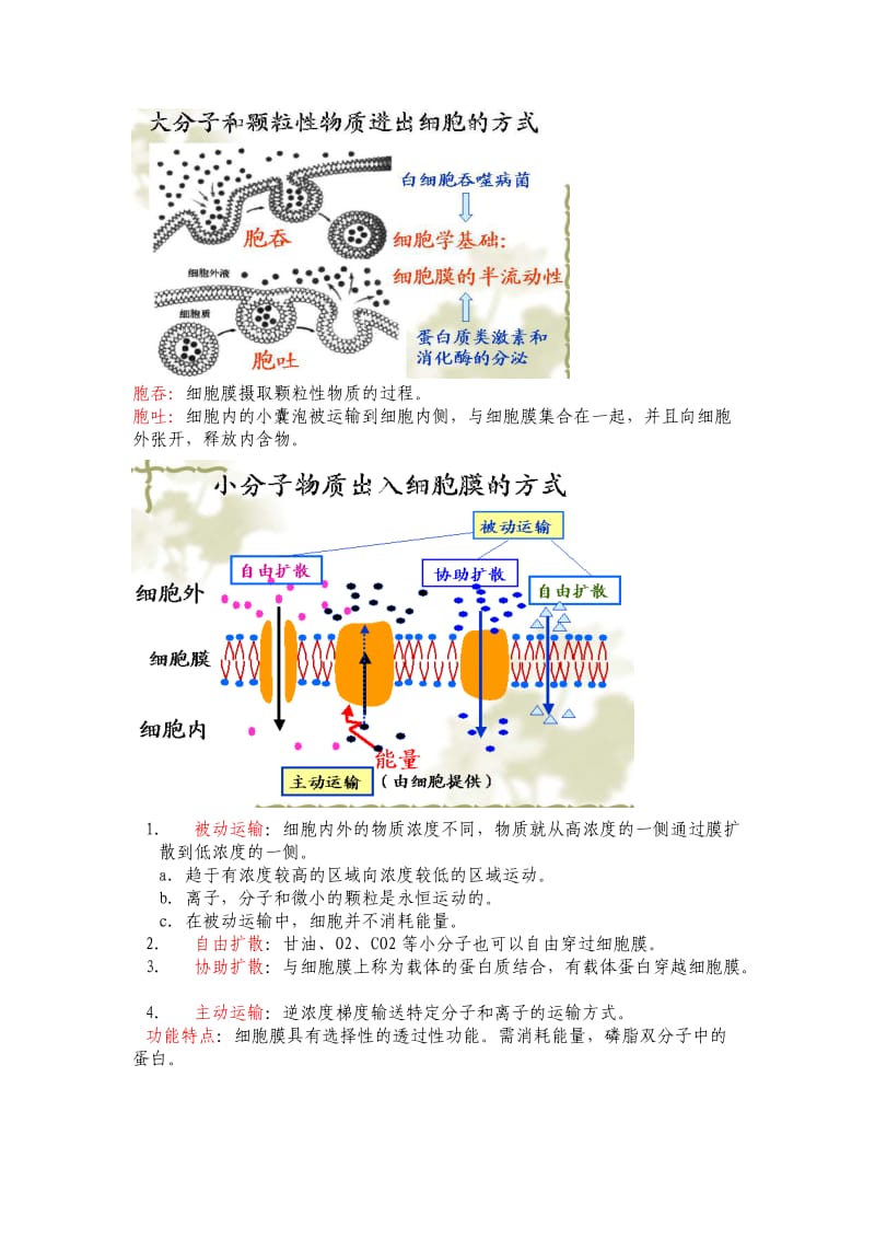 2019-2020年沪科版生命科学高一上第三章《生命的结构基础》复习提纲1.doc_第2页