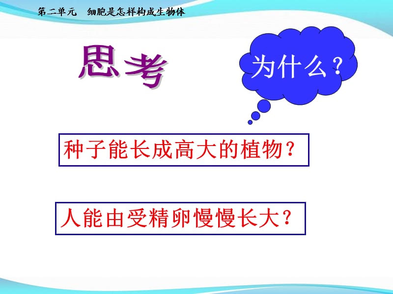 细胞通过分裂产生新细胞ppt课件_第3页